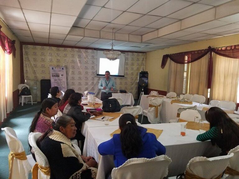 CAPACITACIÓN SOBRE SISTEMAS DE CONSEJOS DE DESARROLLO